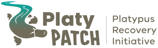 Platypatch logo