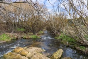 CCMA Yarrowee PlatyPatch Before