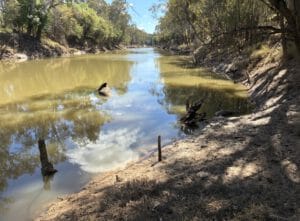 GBCMA - Goulburn river site 3
