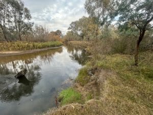 NECMA Kiewa River Platy Patch