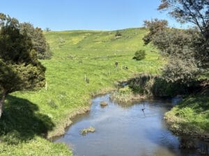 WGCMA - Traralgon Creek