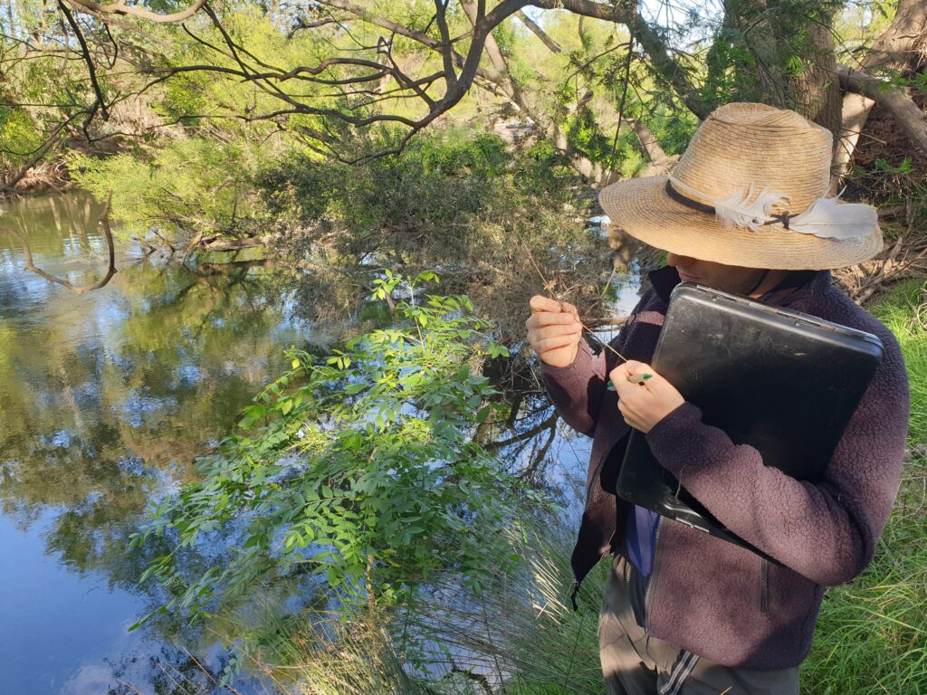 ARI - Platy Patch vegetation monitoring