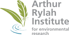 ARI logo